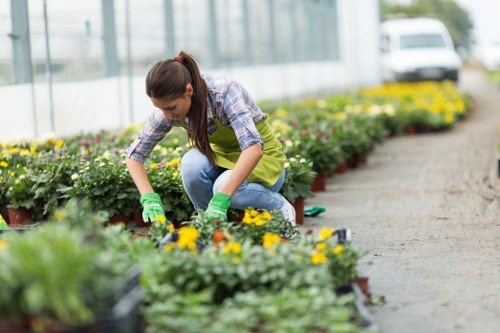 Gardener trimming a suburban Highbury front garden