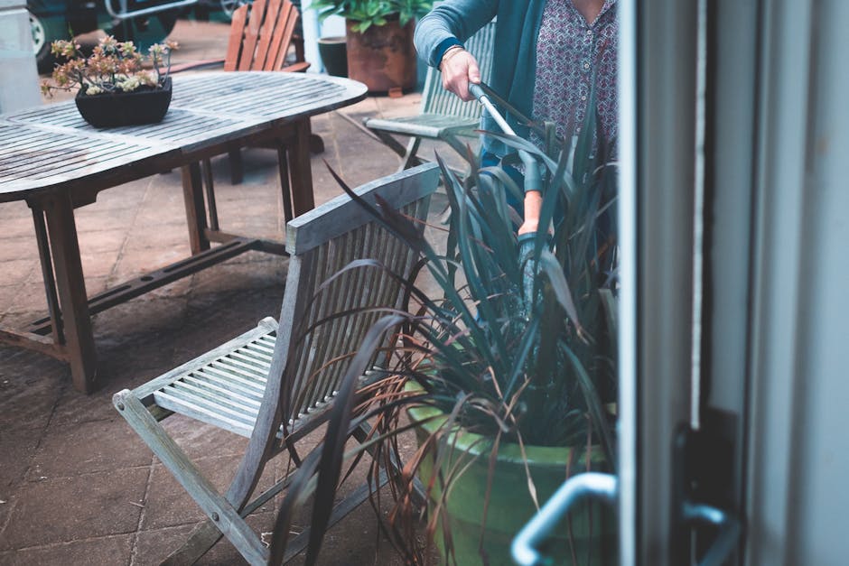A person using a gardening shear to trim the long, dark green leaves of a potted plant on a patio. The patio features a weathered wooden table with a black planter filled with succulent plants, surrou